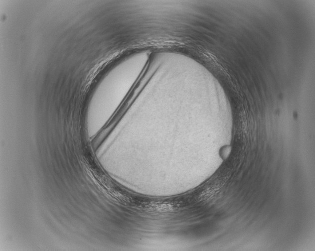 X0000054440640200508191612