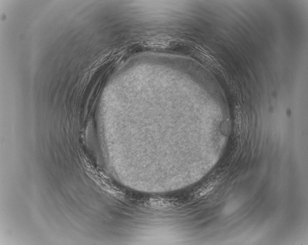 X0000054440641200508191612