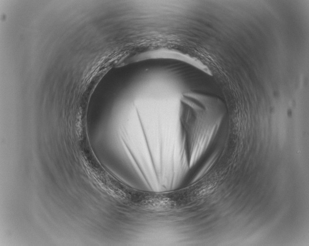 X0000054440642200508191612