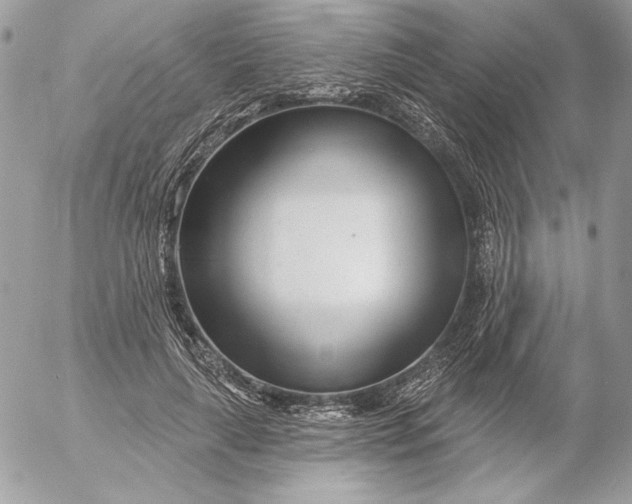 X0000054440643200508191612