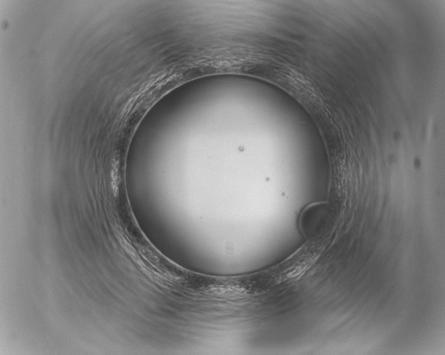 X0000054440644200508191612