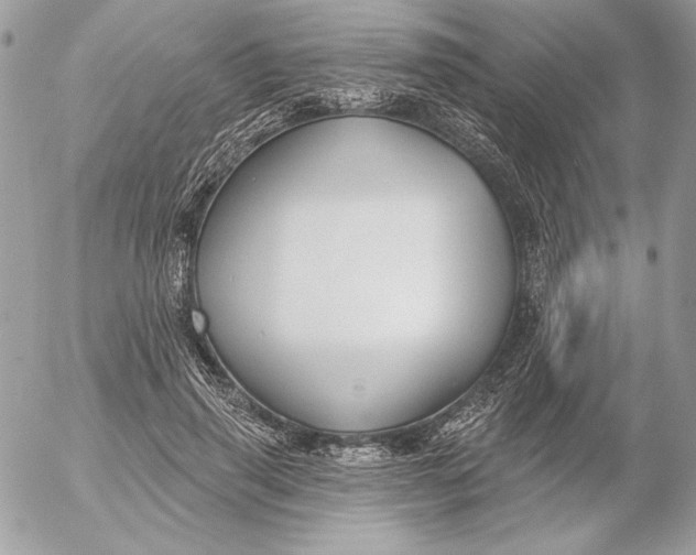 X0000054440645200508191612