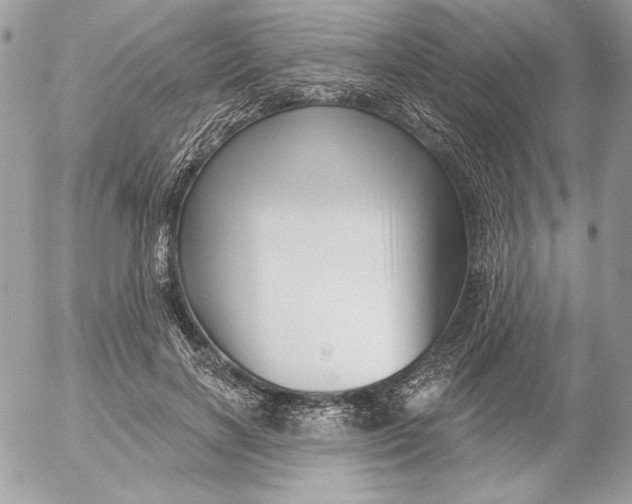 X0000054440646200508191612