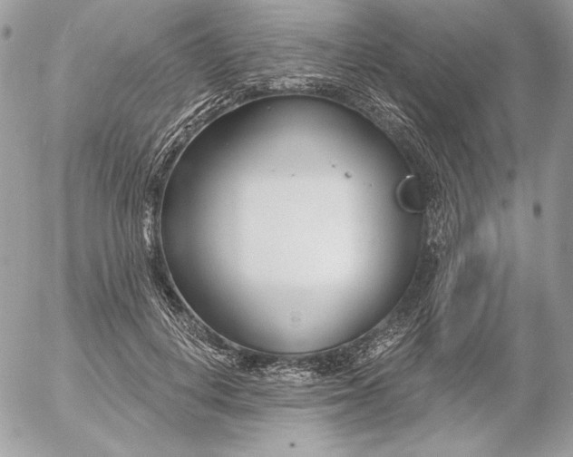 X0000054440648200508191612