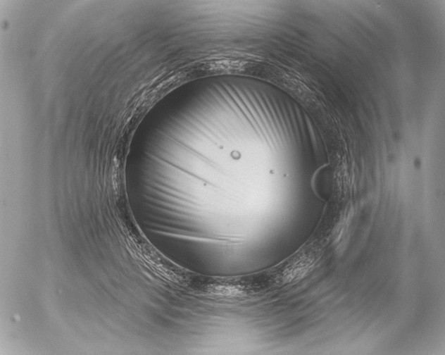 X0000054440649200508191612