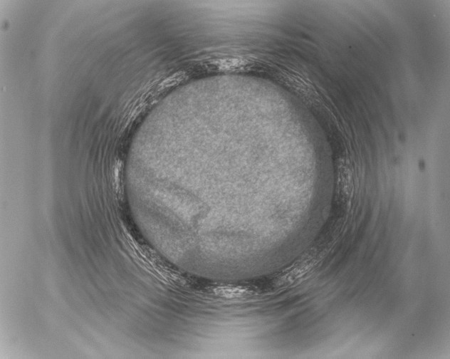 X0000054440650200508191612