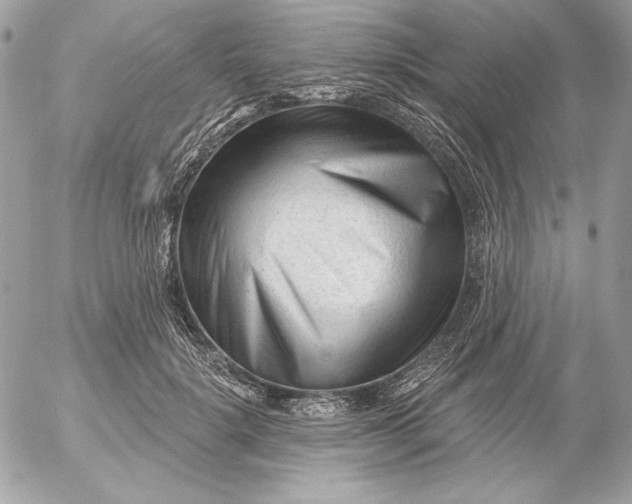 X0000054440652200508191612