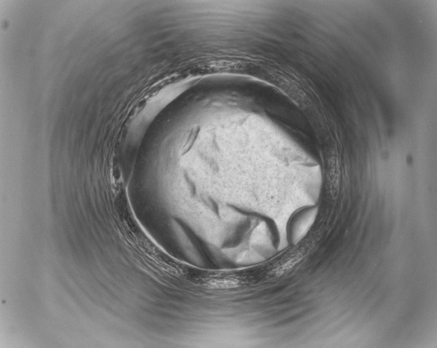 X0000054440653200508191612