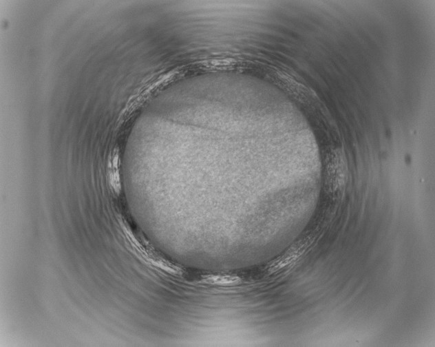 X0000054440654200508191612