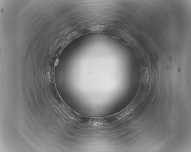 X0000054440655200508191612