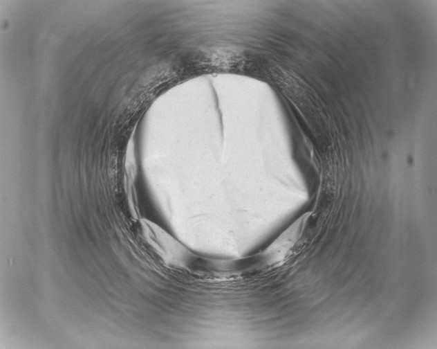 X0000054440656200508191612