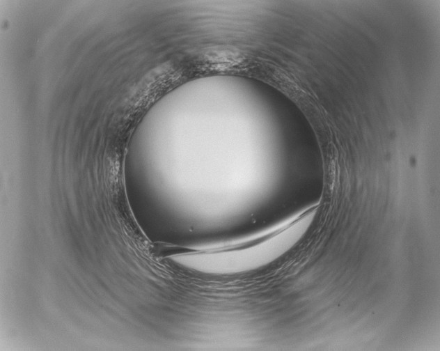 X0000054440657200508191612