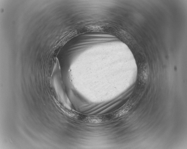 X0000054440658200508191612