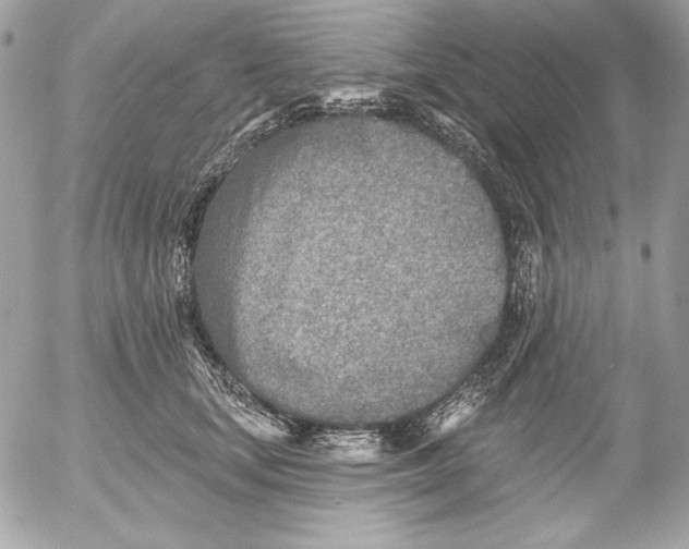 X0000054440659200508191612