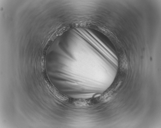 X0000054440661200508191612