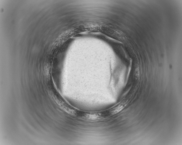 X0000054440662200508191612