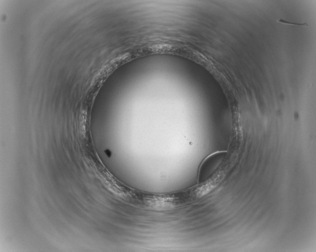 X0000054440664200508191612