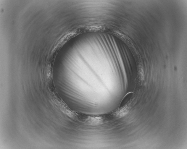 X0000054440665200508191612