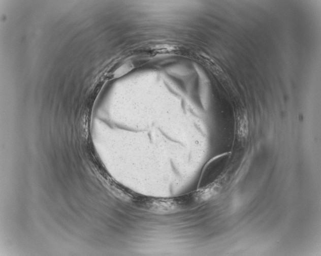 X0000054440666200508191613