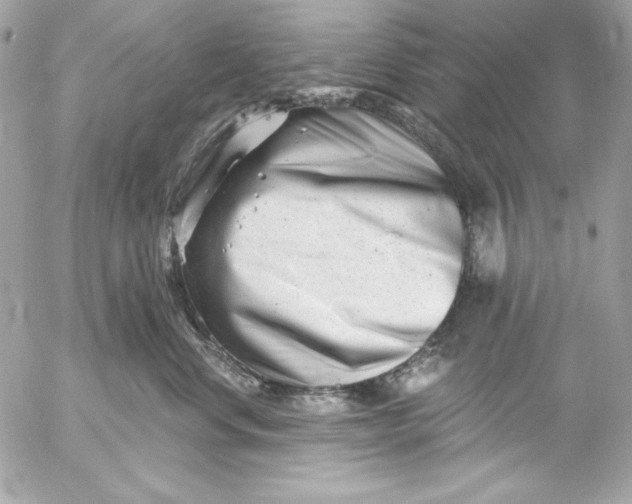 X0000054440668200508191613