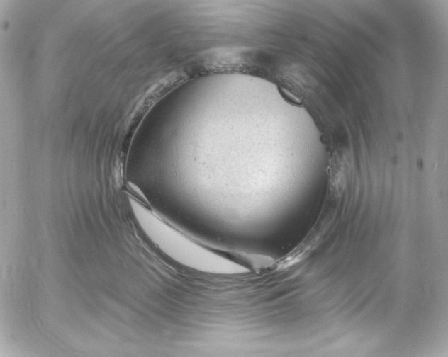 X0000054440669200508191613