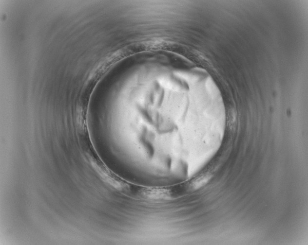 X0000054440670200508191613