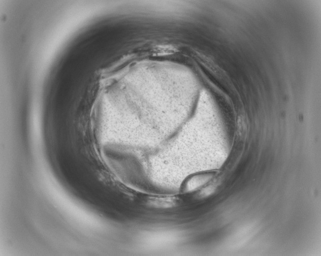 X0000054440671200508191613