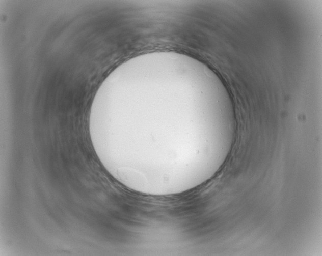 X0000054440672200508191613