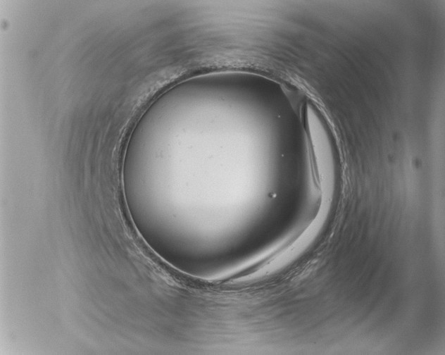 X0000054440673200508191612