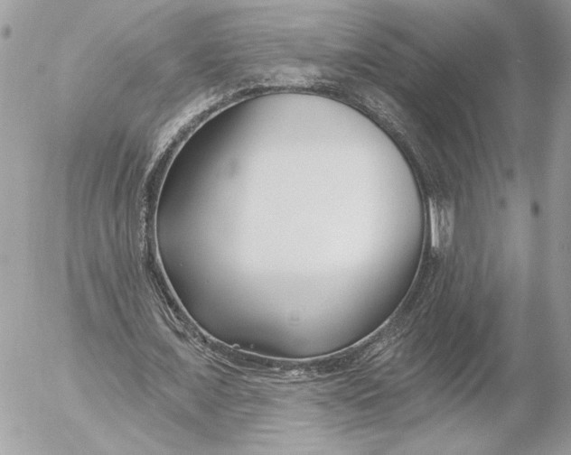 X0000054440675200508191612