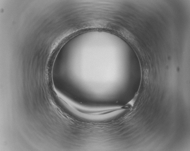 X0000054440676200508191612