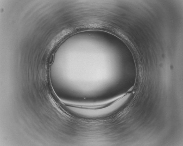 X0000054440677200508191612