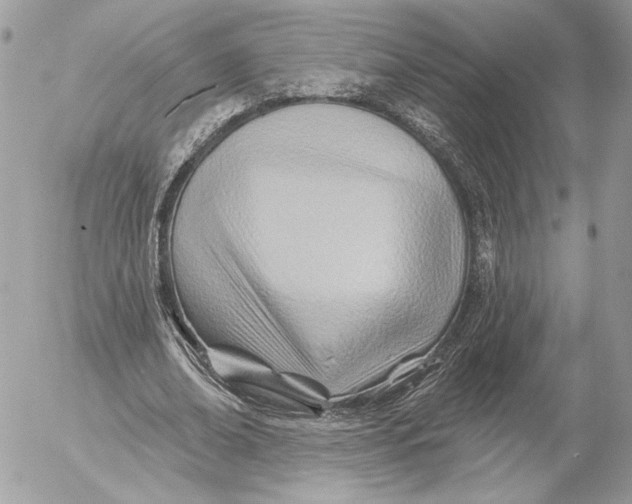 X0000054440678200508191612