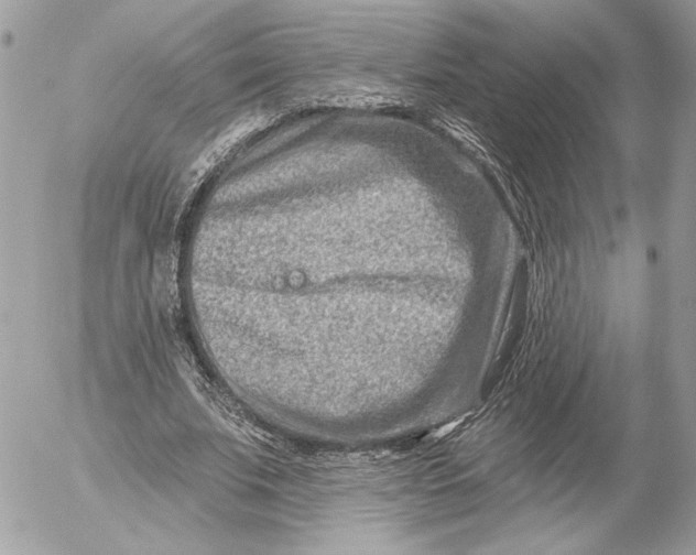 X0000054440679200508191612