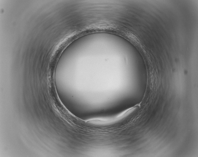 X0000054440680200508191612