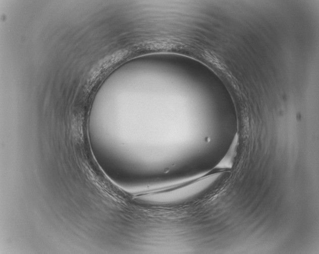 X0000054440681200508191612