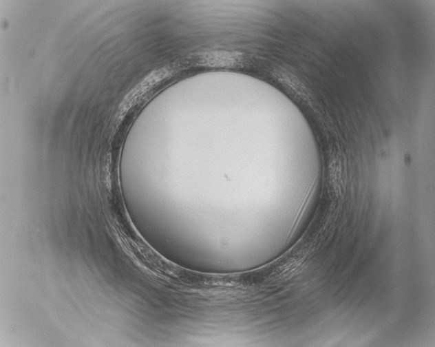 X0000054440682200508191612