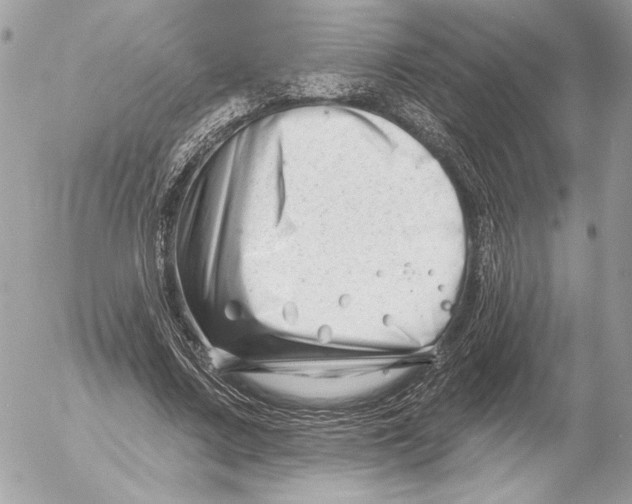 X0000054440683200508191612