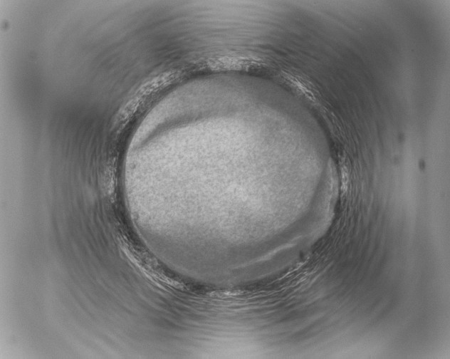 X0000054440687200508191612