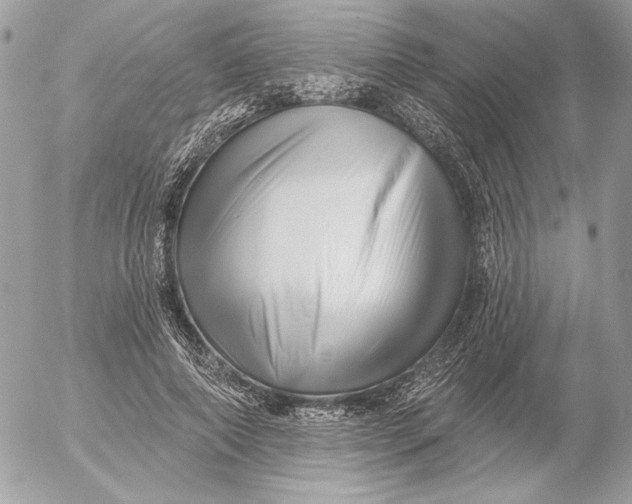 X0000054440690200508191612