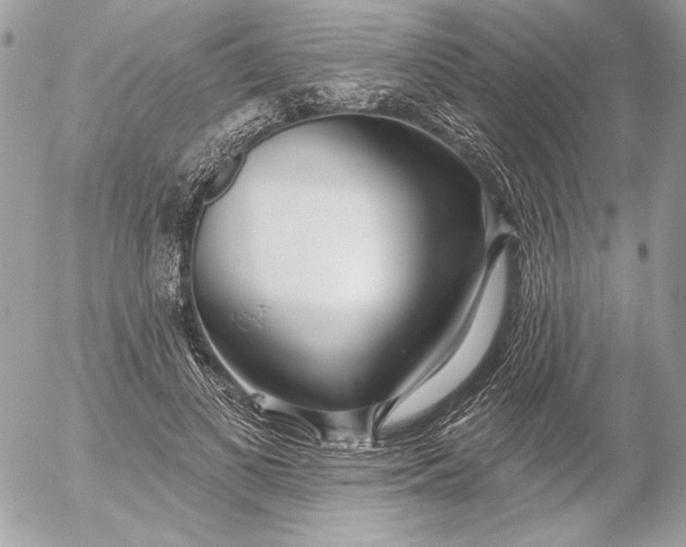 X0000054440693200508191611