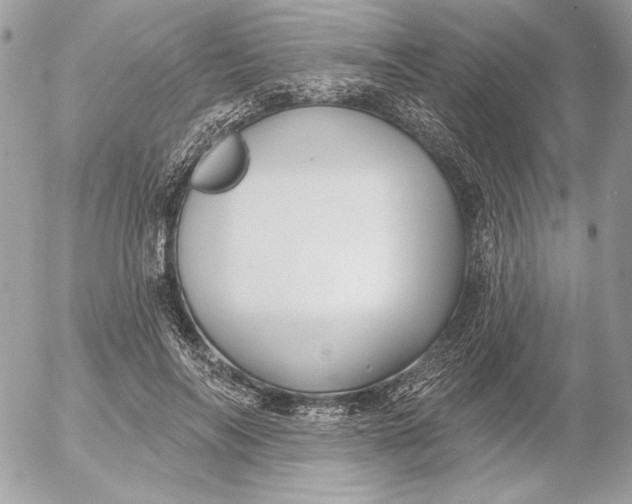 X0000054440694200508191611