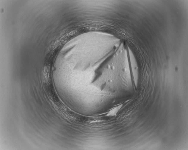 X0000054440695200508191611