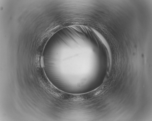 X0000054440696200508191611