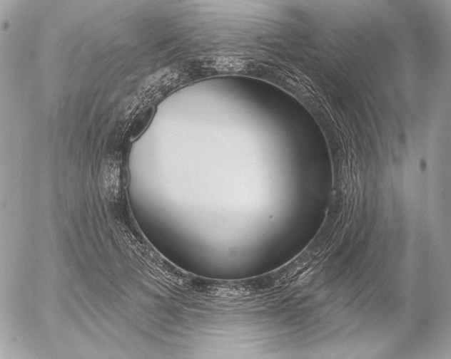 X0000054440697200508191611