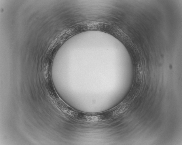 X0000054440698200508191611