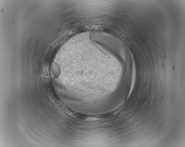 X0000054440699200508191611