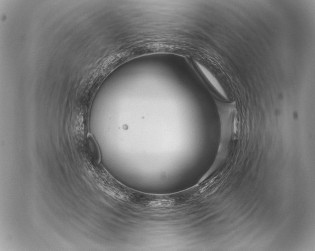 X0000054440700200508191611