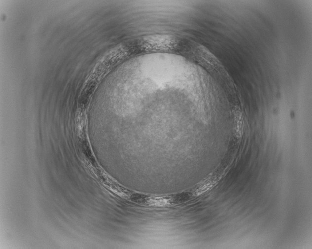 X0000054440701200508191611