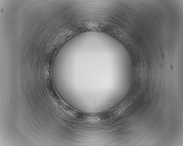 X0000054440702200508191611